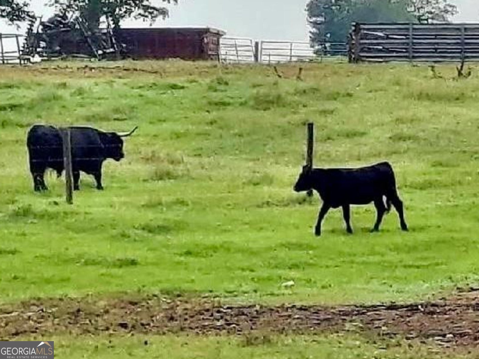 9447 Clarks Mill Road Avera - 23