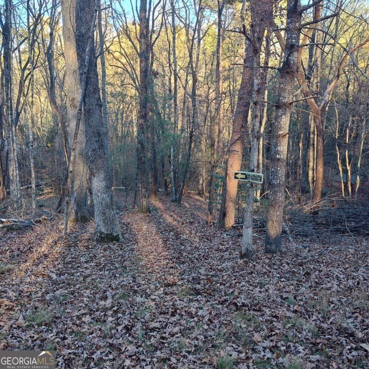 38 Sweetwater Trail Epworth - 27