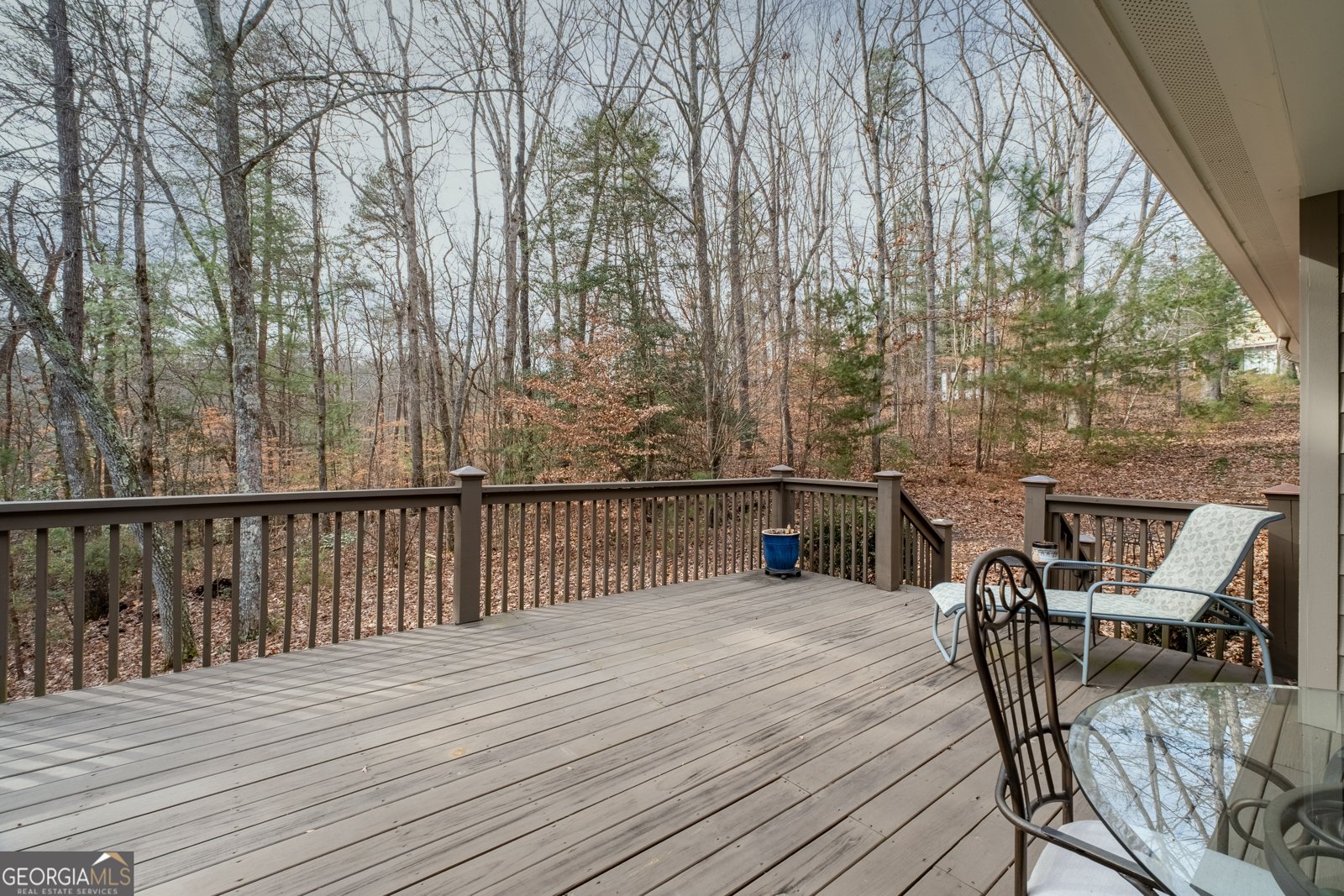 141 Gartrell Street Ellijay - 39