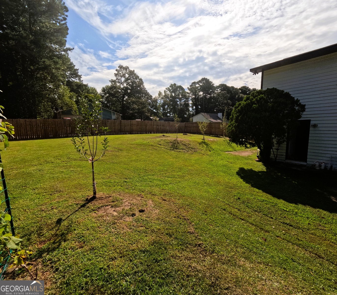 3695 Winterberry Lane Snellville - Photo 54