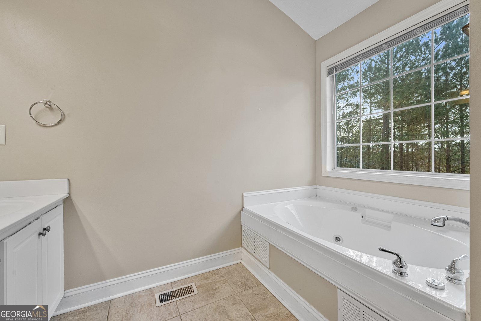 1670 Leigh Meadow Drive Dacula - 22