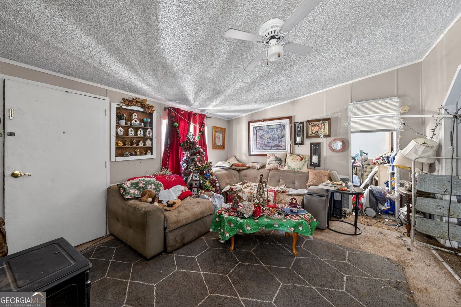 5019 GA Hwy 109 Molena - 13