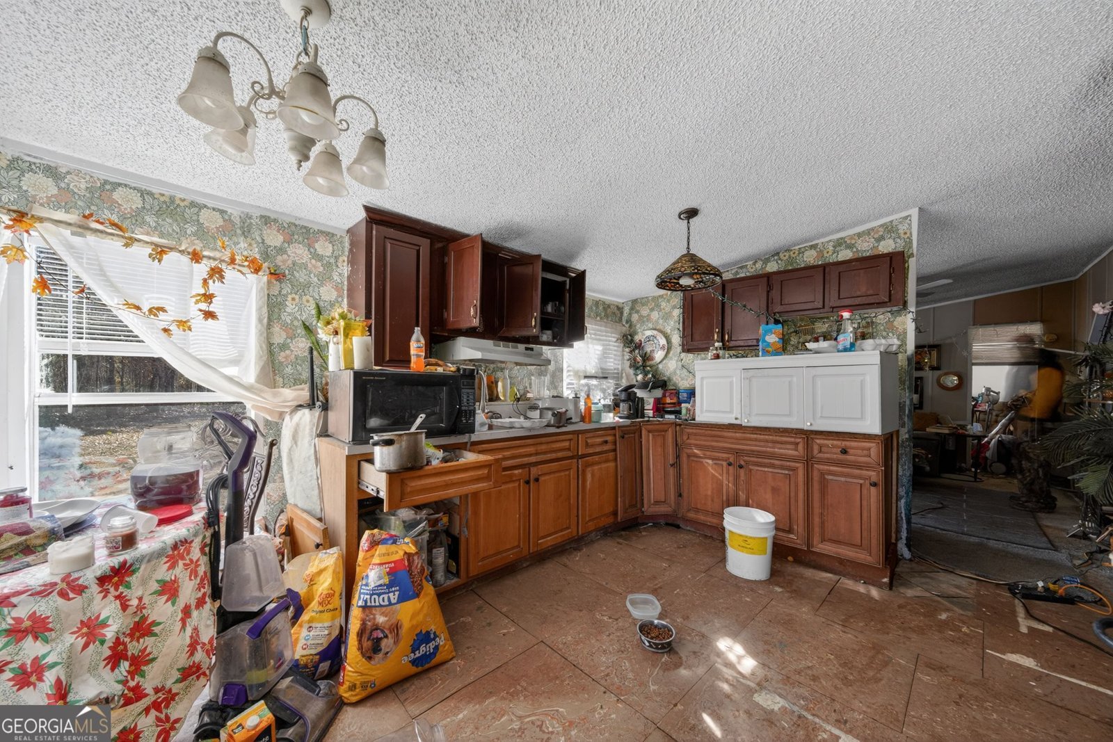 5019 GA Hwy 109 Molena - 15