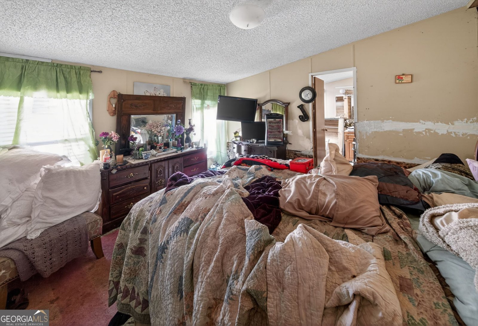 5019 GA Hwy 109 Molena - 18