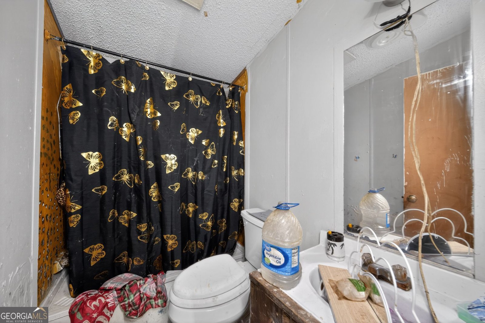 5019 GA Hwy 109 Molena - 19