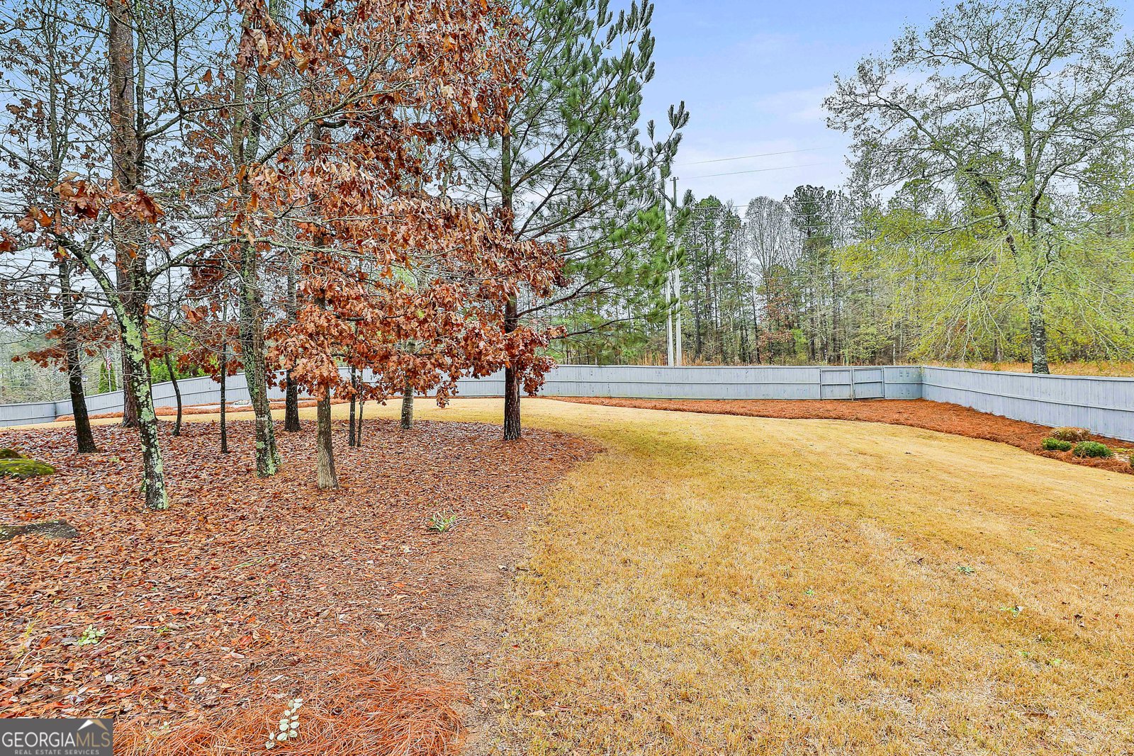100 Southmill Lane Senoia - 52