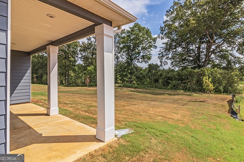 309 Rusty Plow Lane Perry - 48