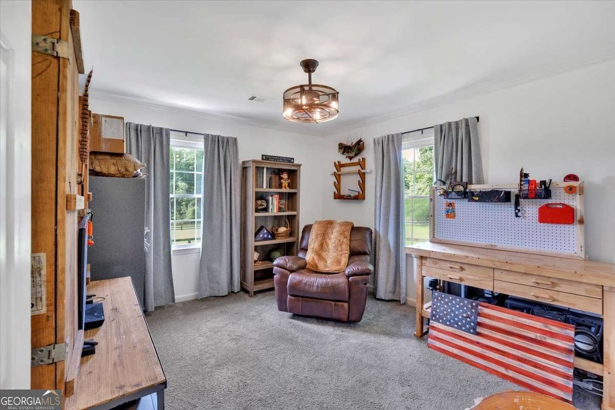 146 Henderson Farm Lane Canton - 24