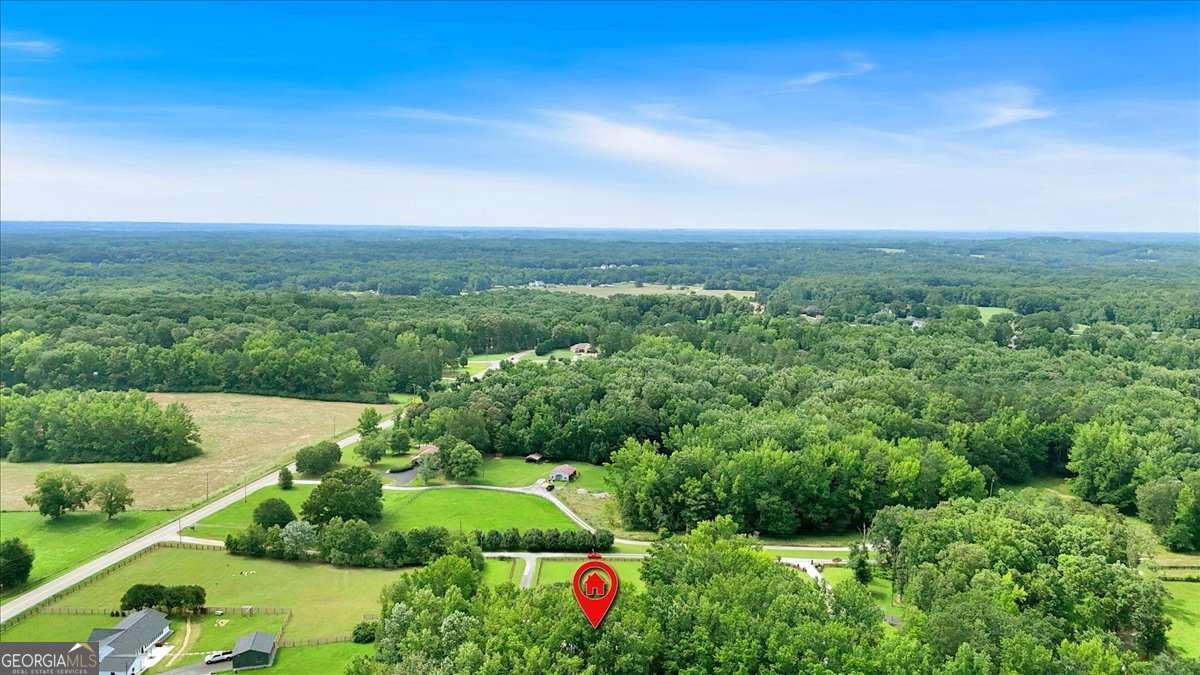 146 Henderson Farm Lane Canton - 59