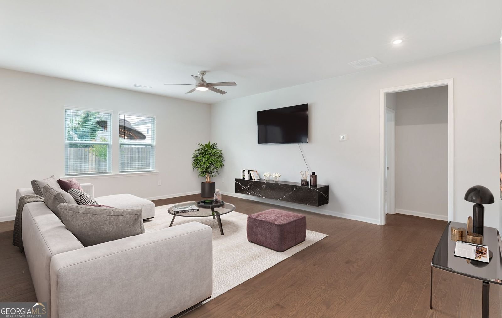 259 Paulownia Circle Mcdonough - 10