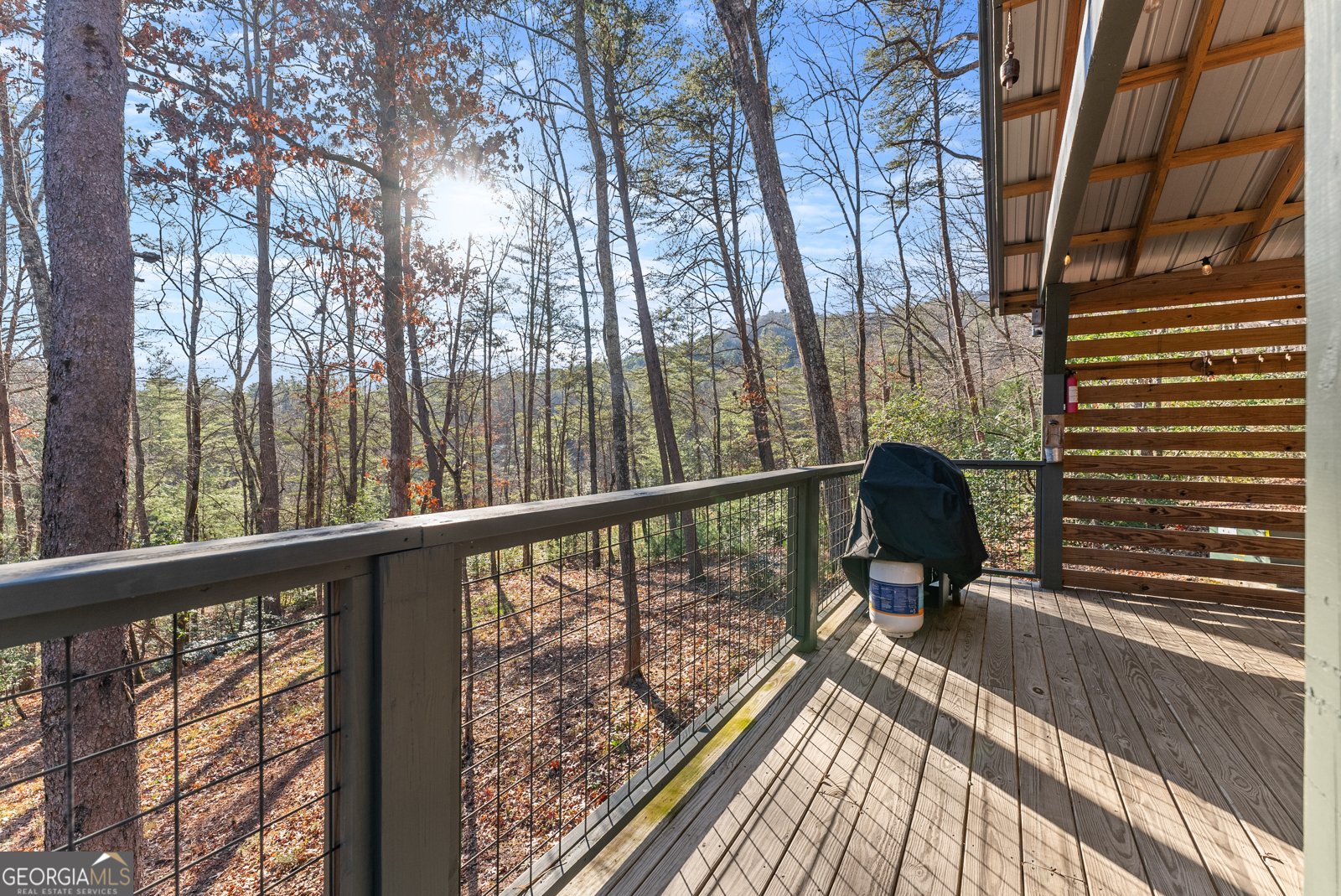 121 Waterfalls Way Clarkesville - 47