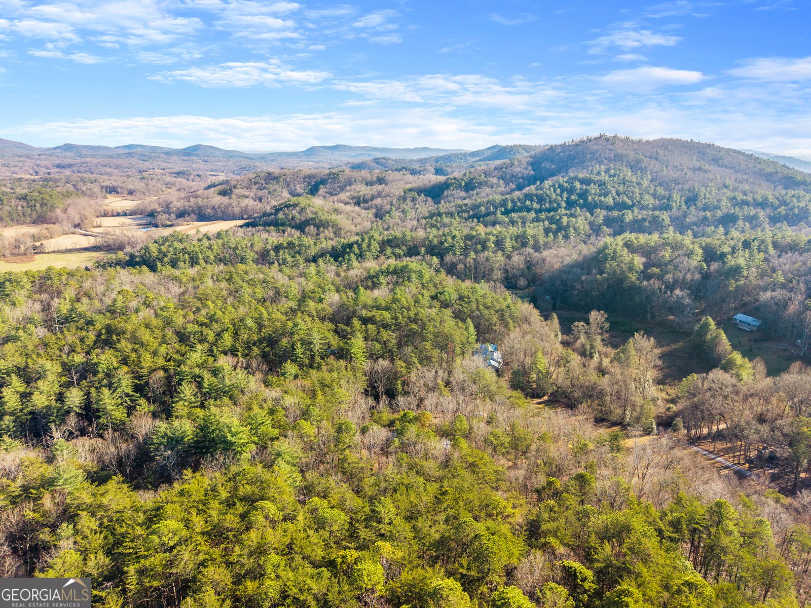 121 Waterfalls Way Clarkesville - 58