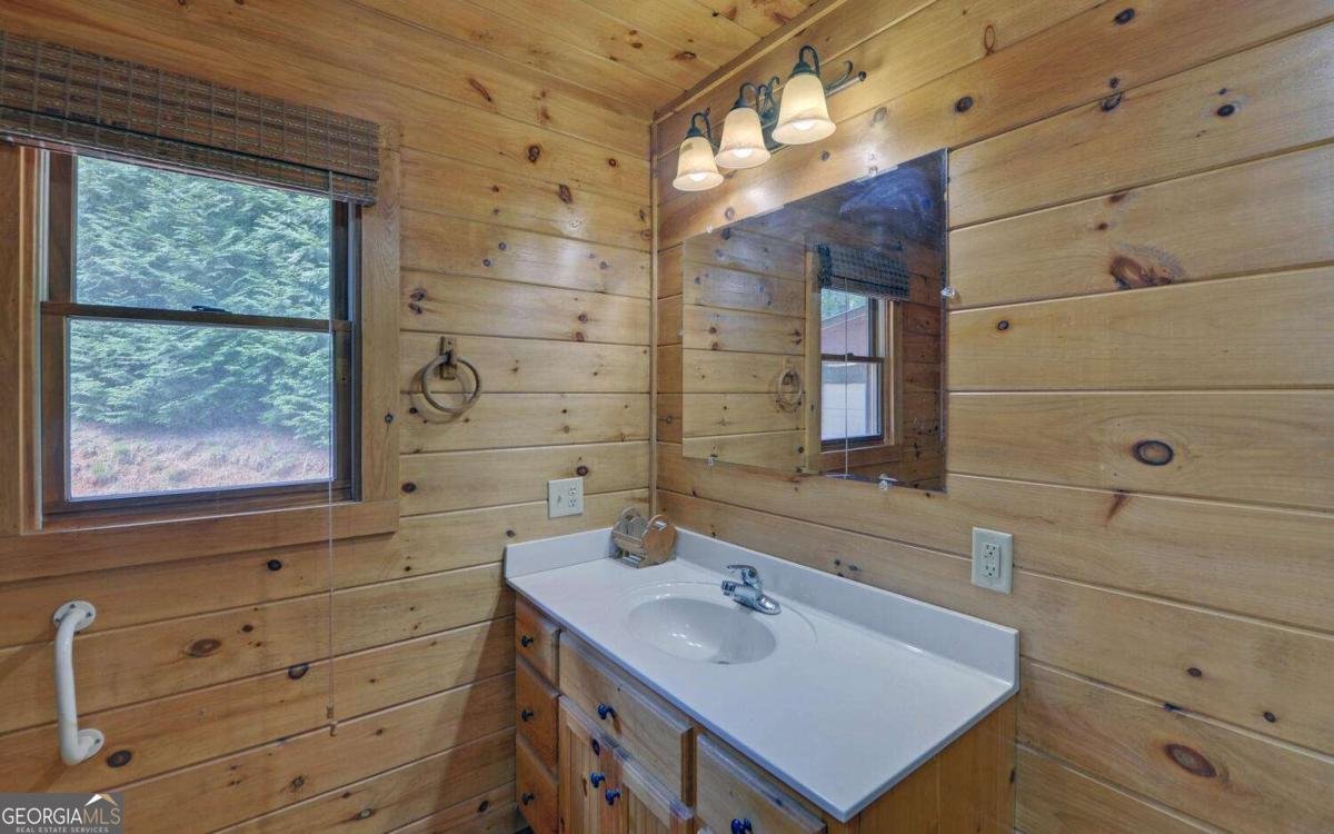 230 Pine Forrest Loop Blue Ridge - 14