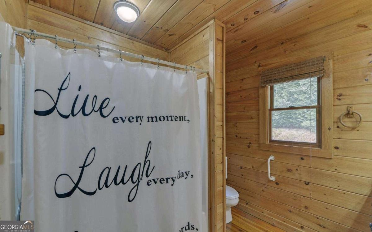 230 Pine Forrest Loop Blue Ridge - 15