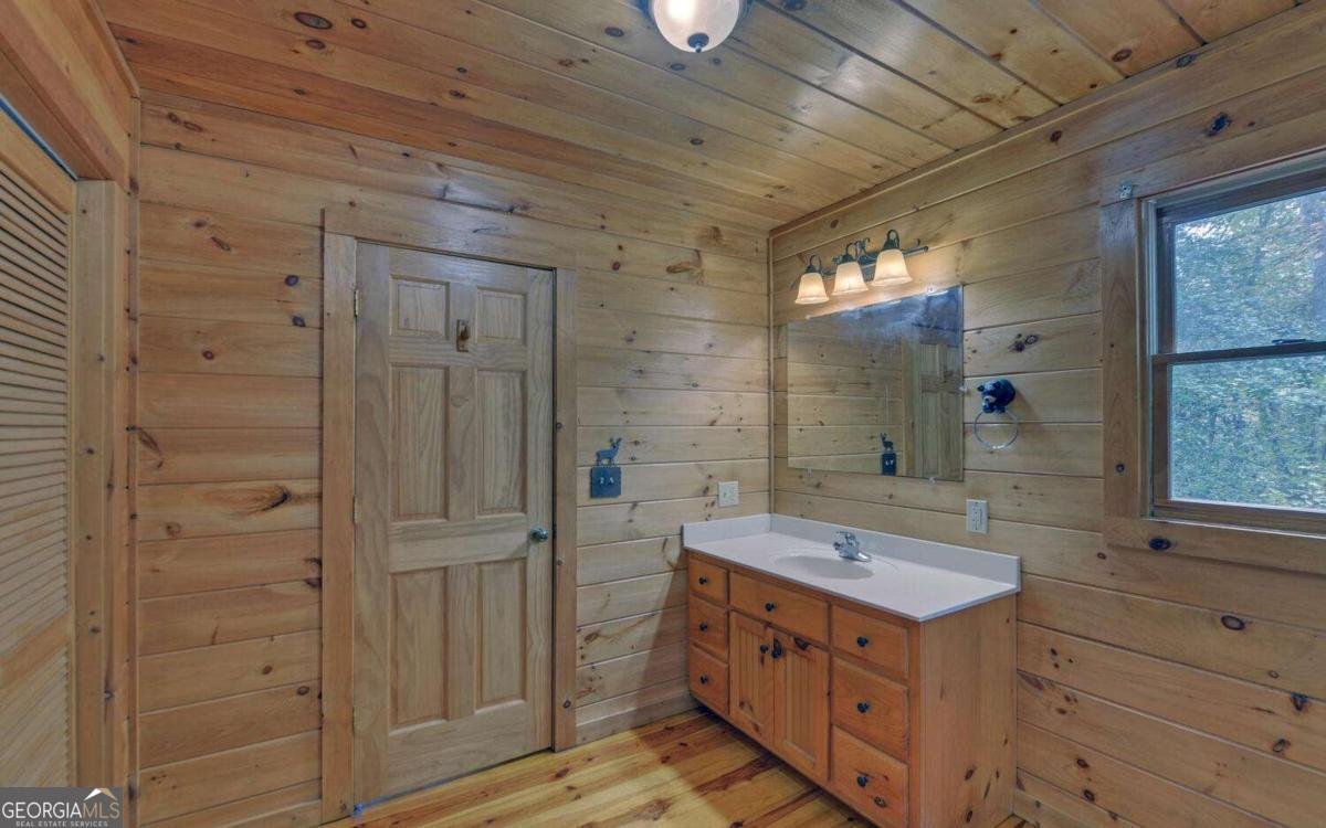 230 Pine Forrest Loop Blue Ridge - 19