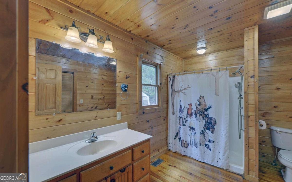 230 Pine Forrest Loop Blue Ridge - 20