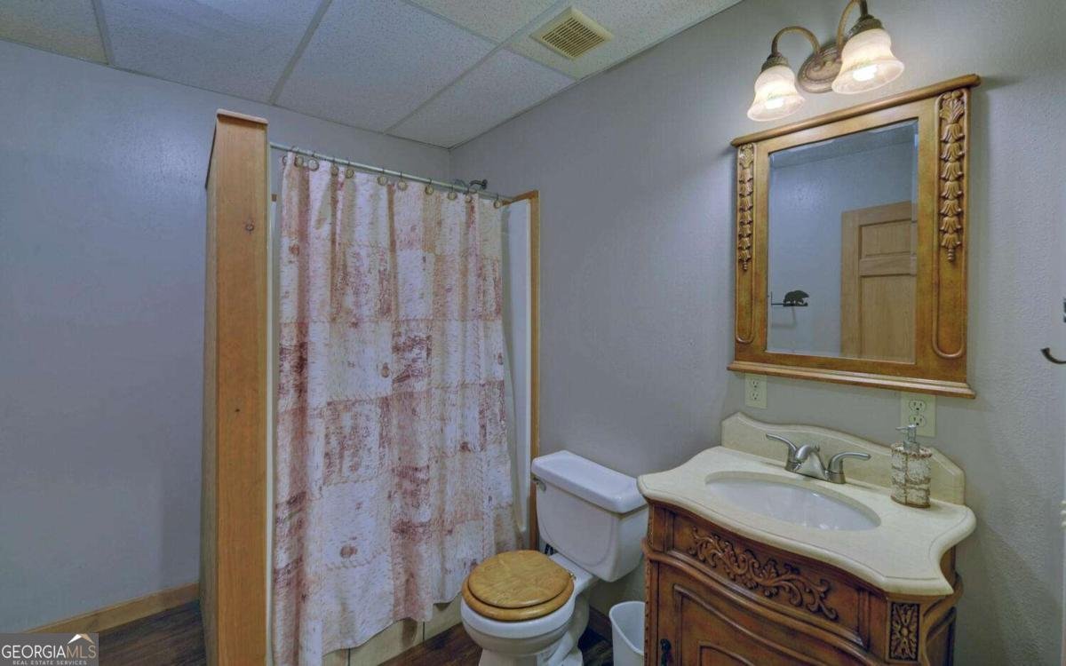 230 Pine Forrest Loop Blue Ridge - 28