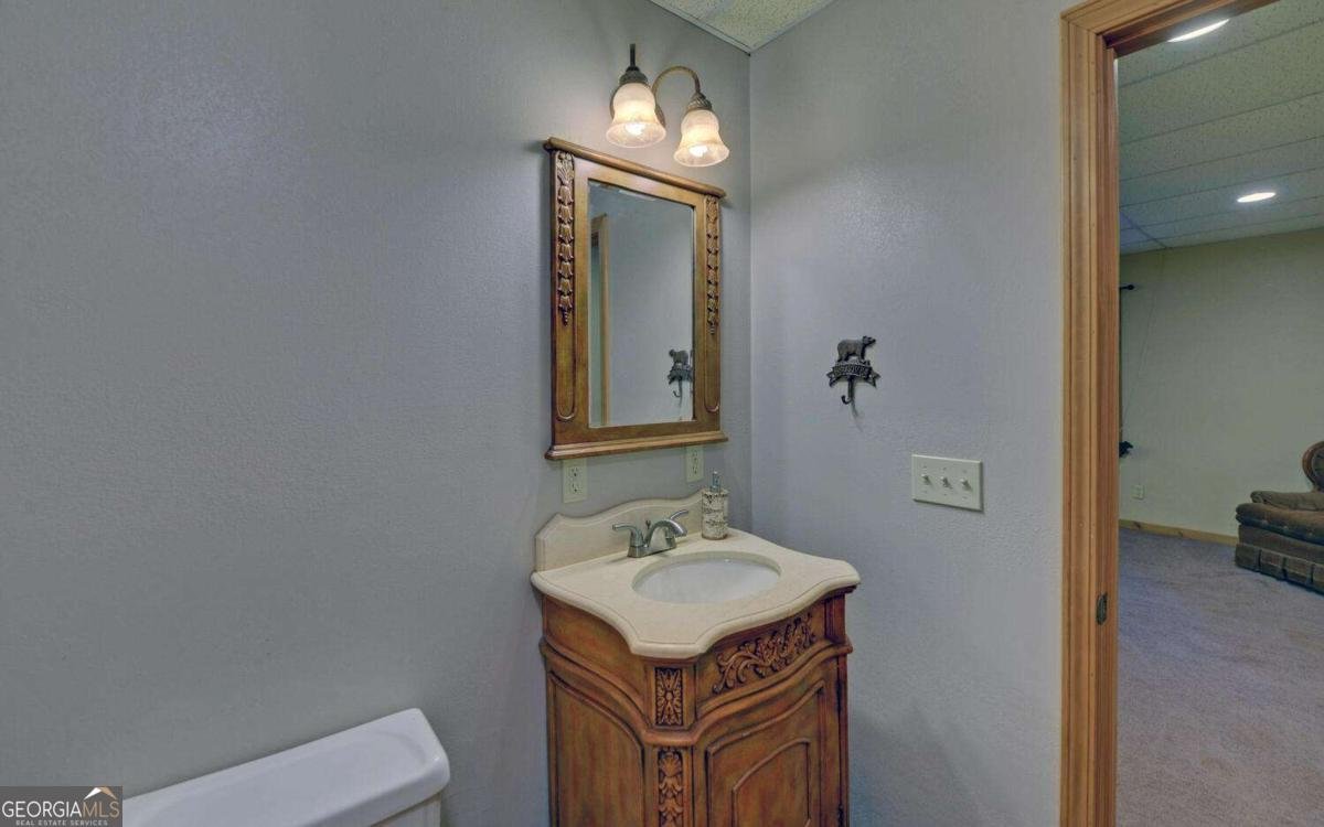 230 Pine Forrest Loop Blue Ridge - 29