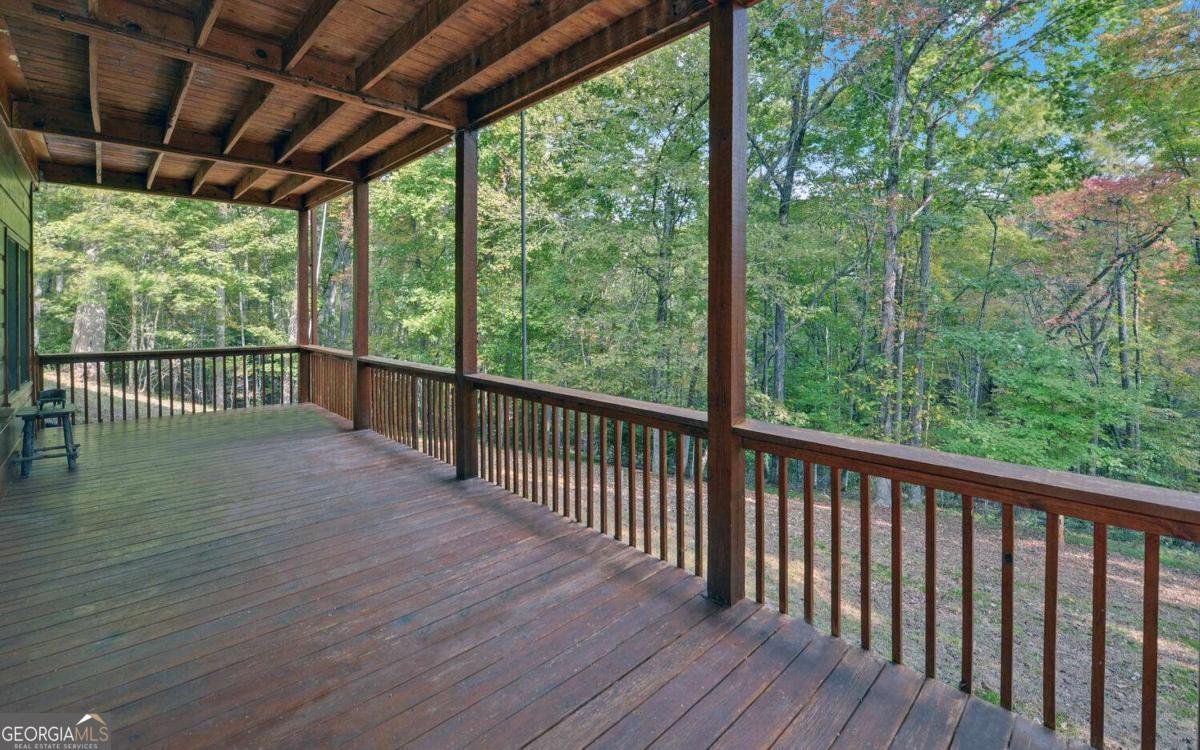 230 Pine Forrest Loop Blue Ridge - 30