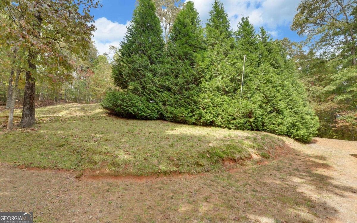 230 Pine Forrest Loop Blue Ridge - 36