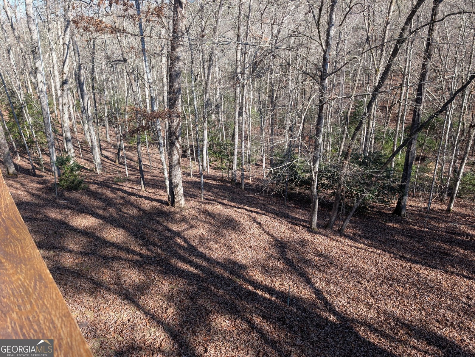 230 Pine Forest Loop Blue Ridge - Photo 38