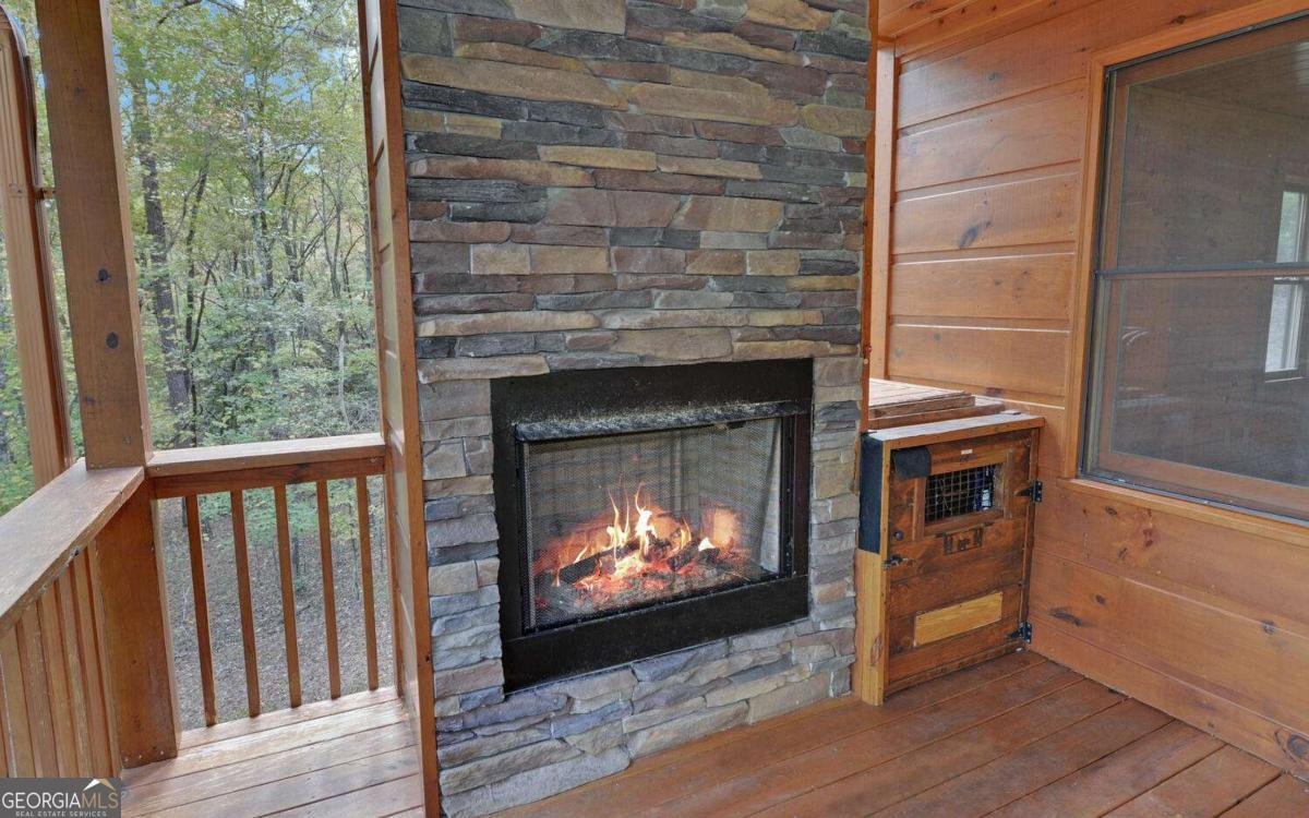 230 Pine Forrest Loop Blue Ridge - 4