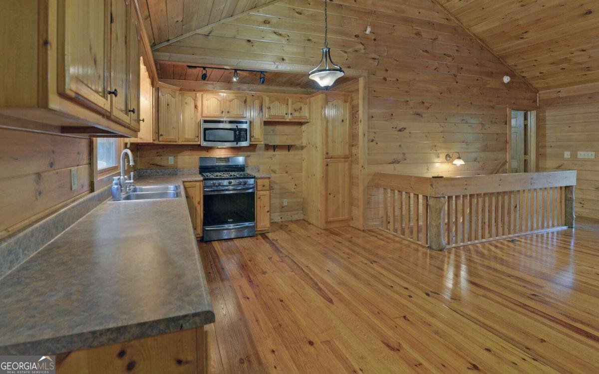 230 Pine Forrest Loop Blue Ridge - 5