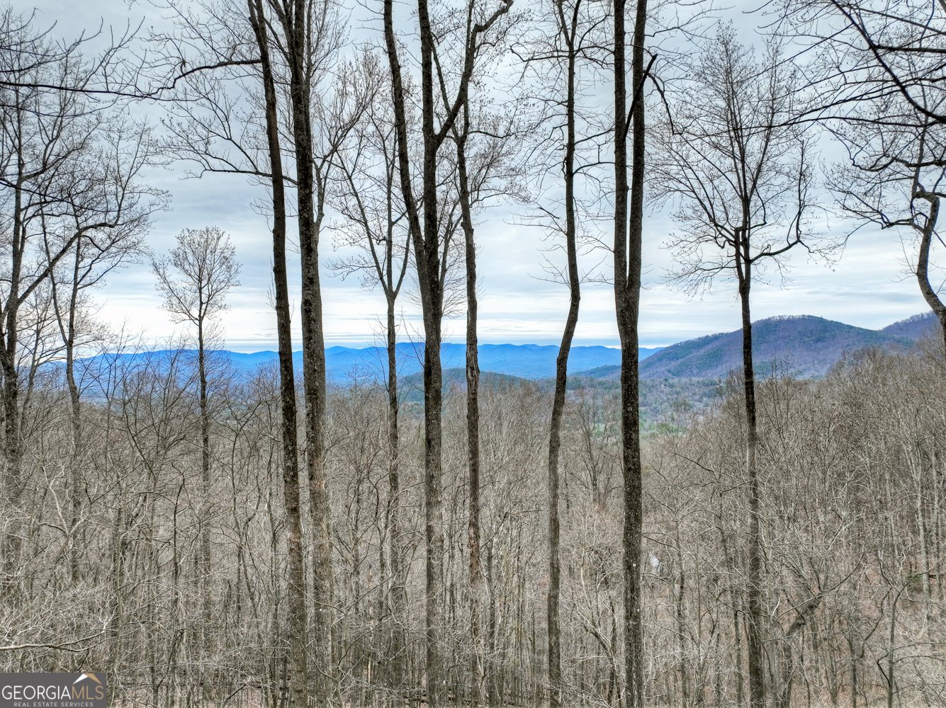 1189 Walnut Ridge Ellijay - 30