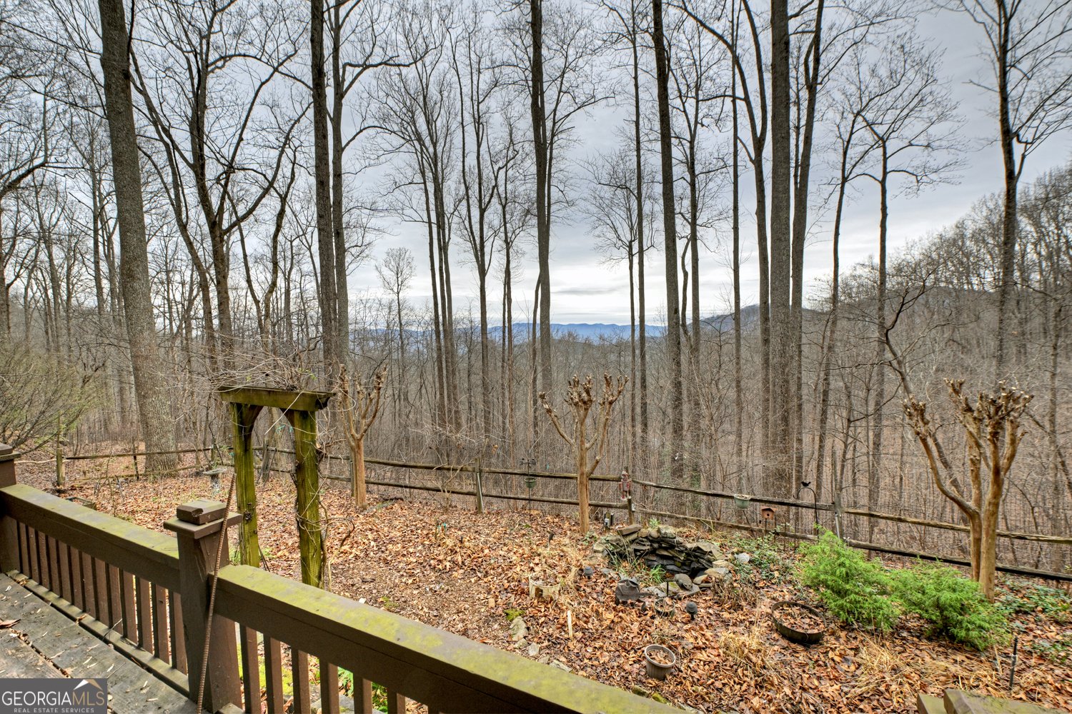 1189 Walnut Ridge Ellijay - 48