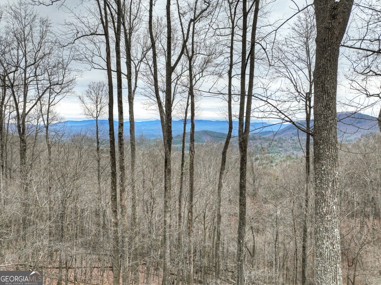 1189 Walnut Ridge Ellijay - 50