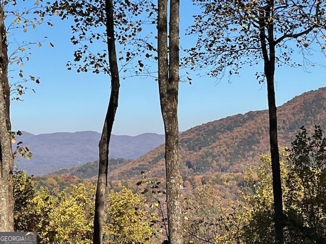 1189 Walnut Ridge Ellijay - 51