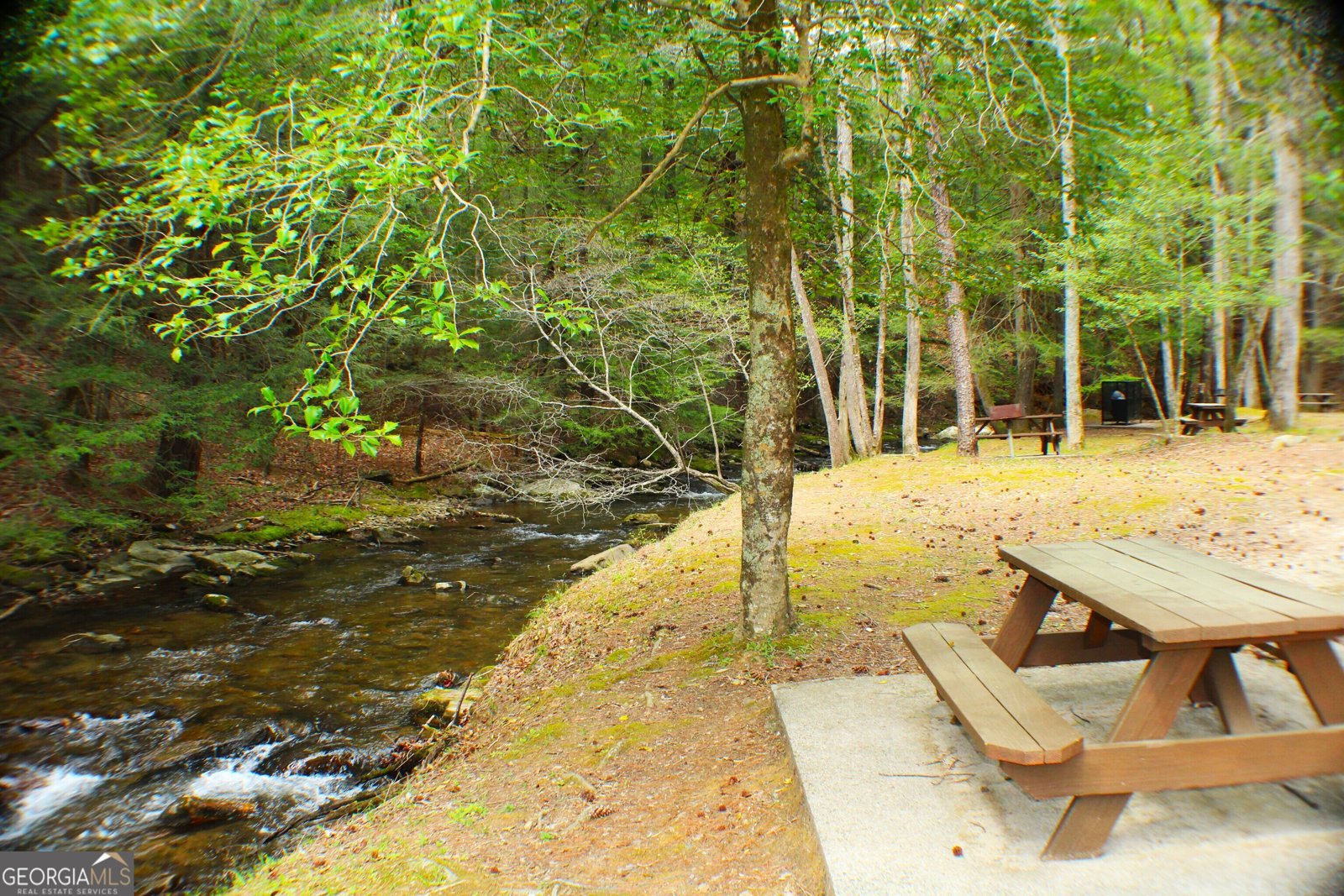 1189 Walnut Ridge Ellijay - Photo 57