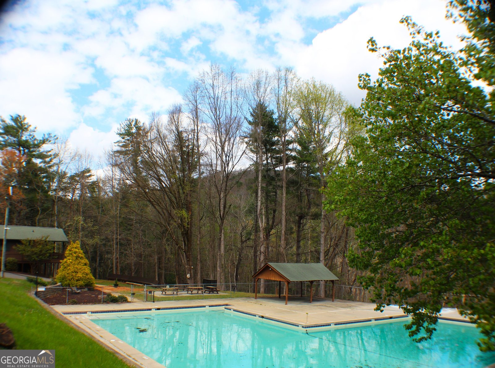 1189 Walnut Ridge Ellijay - Photo 58