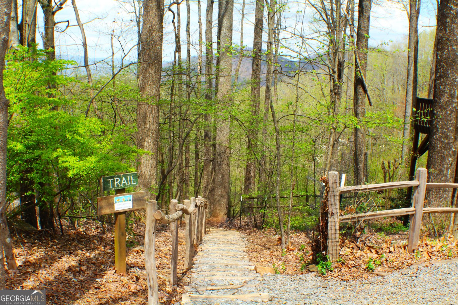 1189 Walnut Ridge Ellijay - Photo 60