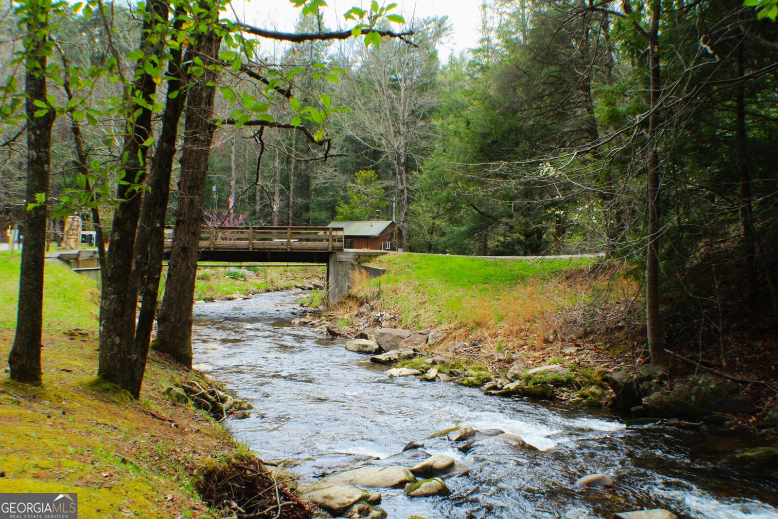 1189 Walnut Ridge Ellijay - Photo 61