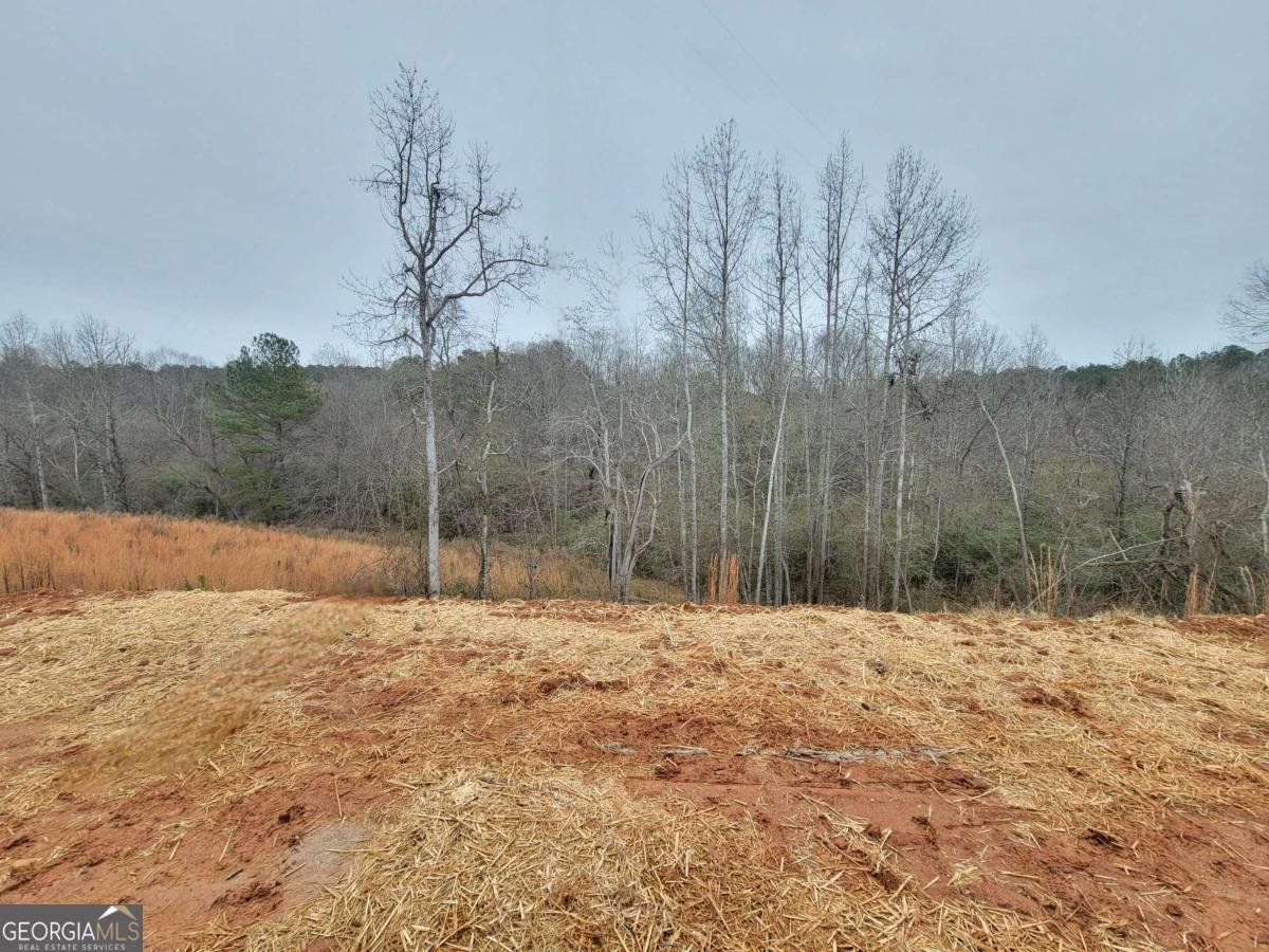 73 Silverleaf Trail Bethlehem - 12