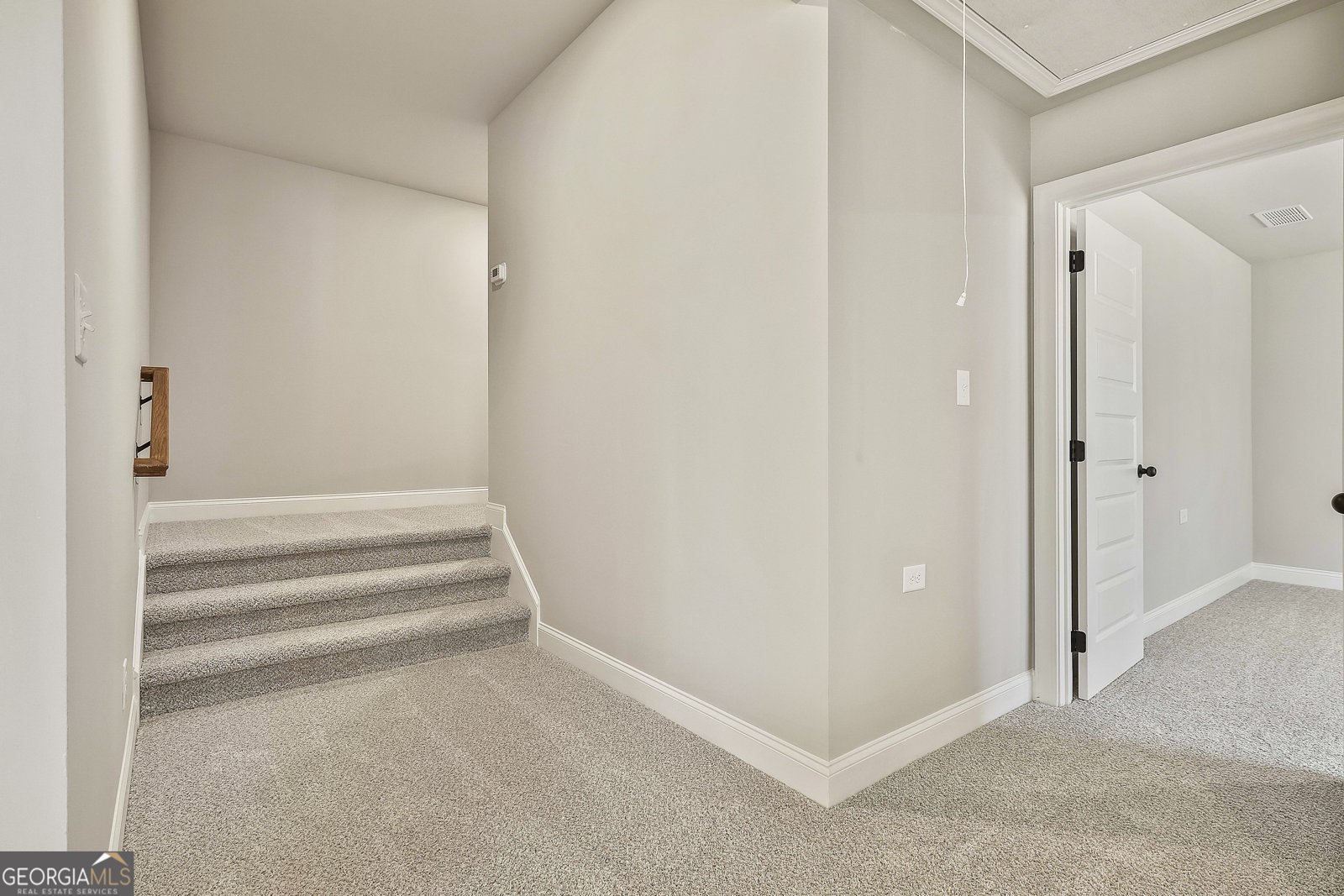 LOT 1 MCINTOSH Trail Senoia - Photo 38