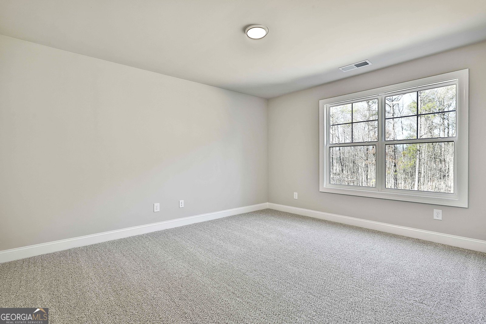 LOT 1 MCINTOSH Trail Senoia - Photo 39