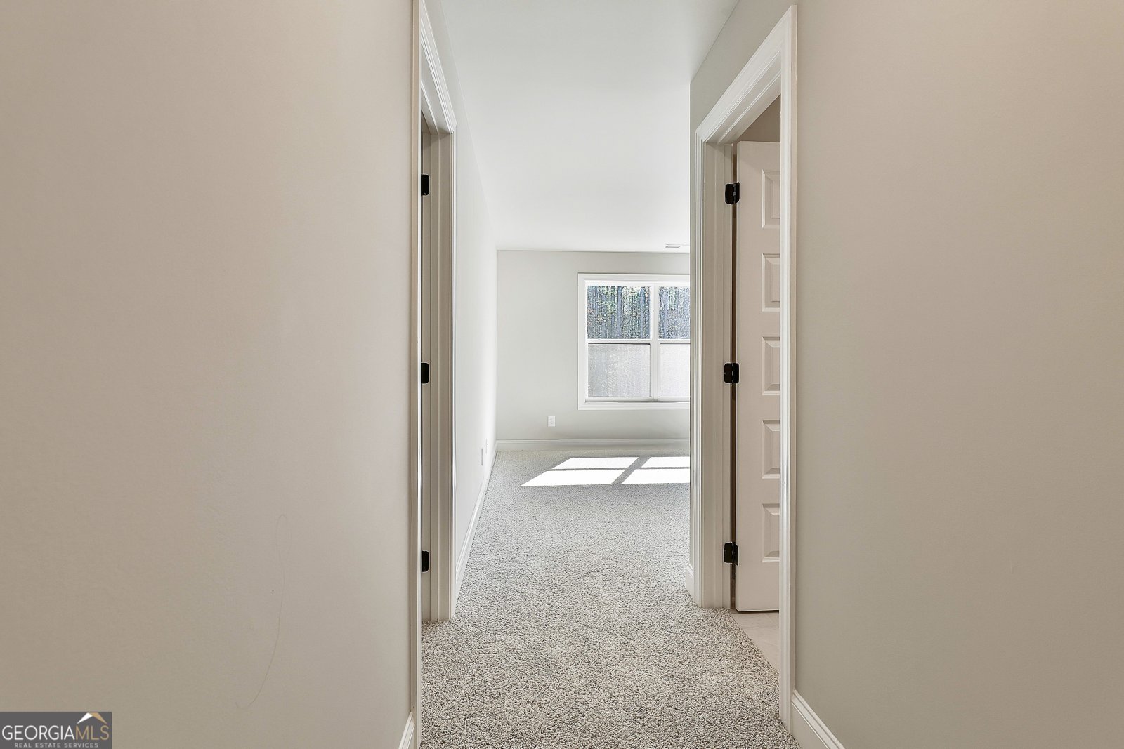 LOT 1 MCINTOSH Trail Senoia - Photo 40