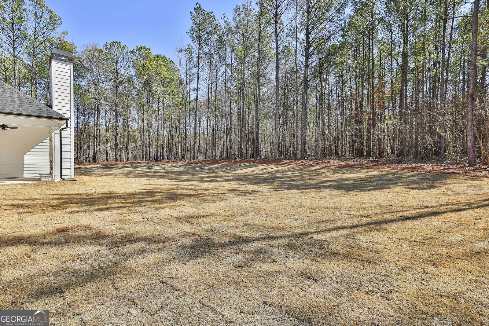 LOT 1 MCINTOSH Trail Senoia - Photo 44