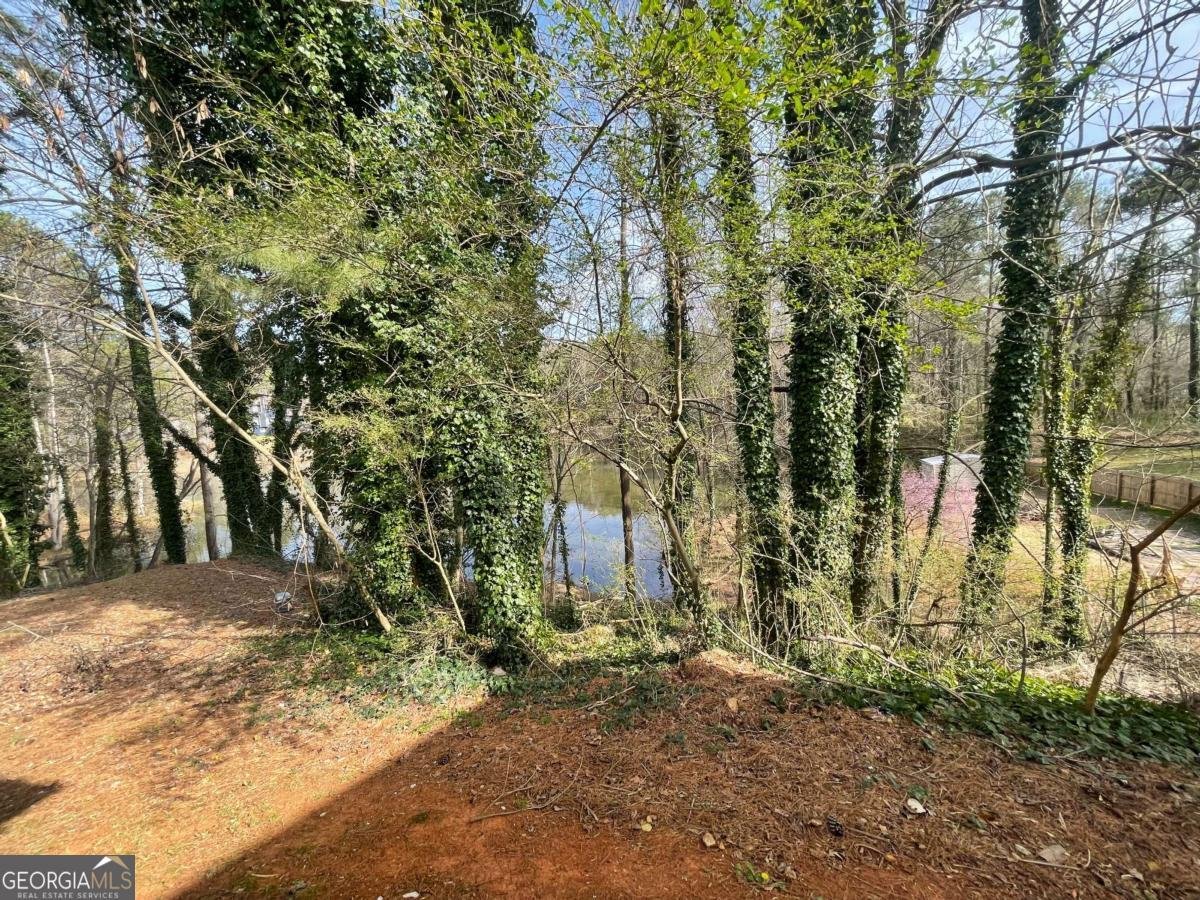 1374 To Lani Farm Road Stone Mountain - 18