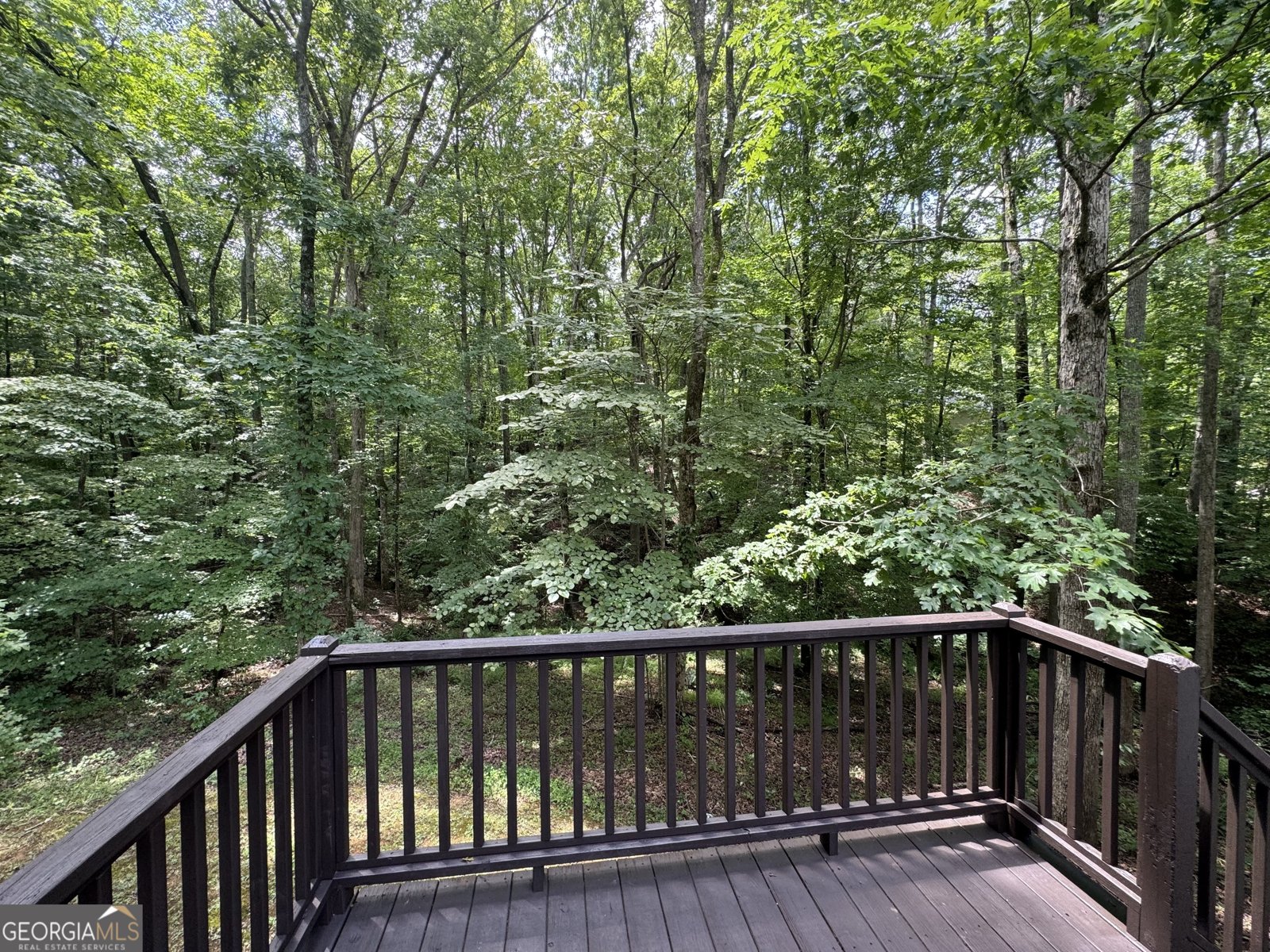 194 Spring Leaf Drive Dallas - 21