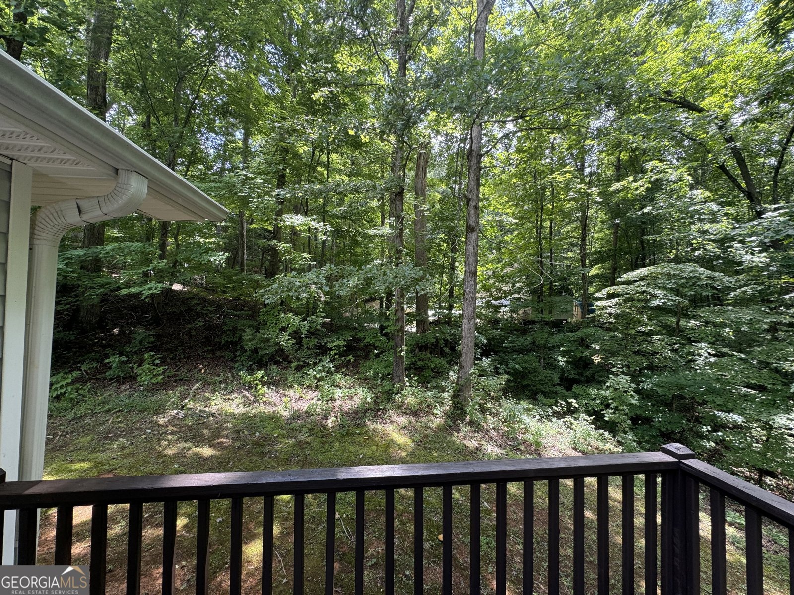 194 Spring Leaf Drive Dallas - 22