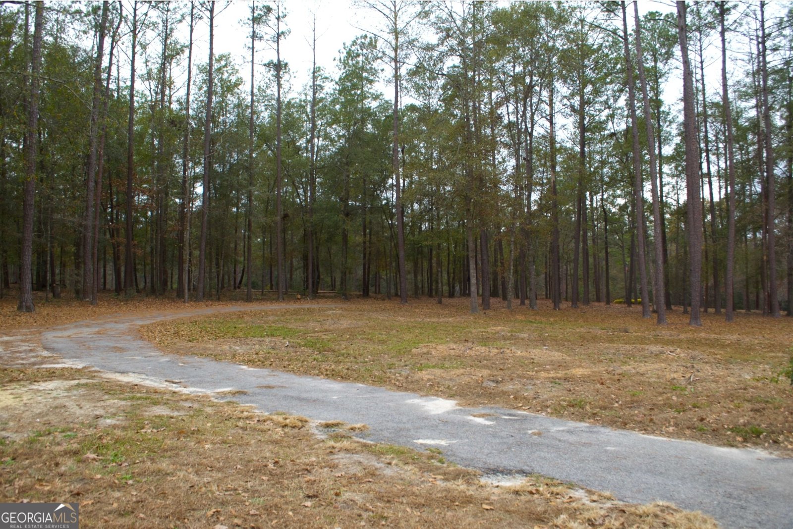 1206 Jasmine Road Dublin - 4