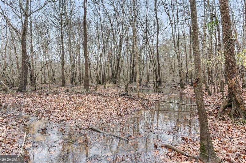 6 CREEKSIDE Bluff Hiram - 32