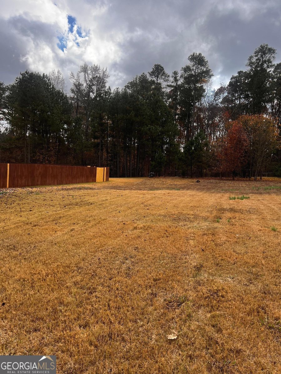 2487 Ash Rose Drive Jonesboro - 26