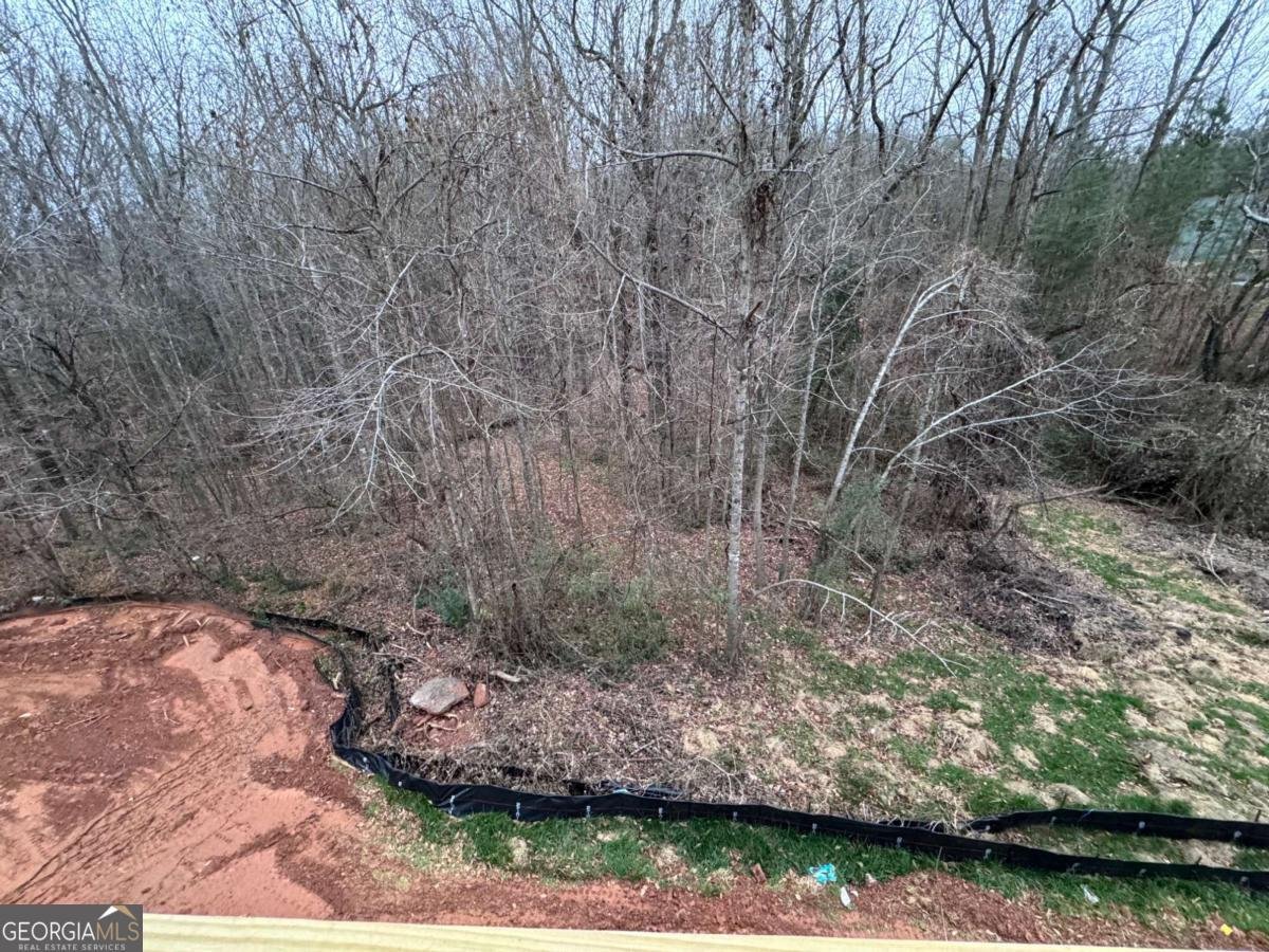 484 Magnolia Grove Place Cornelia - 5