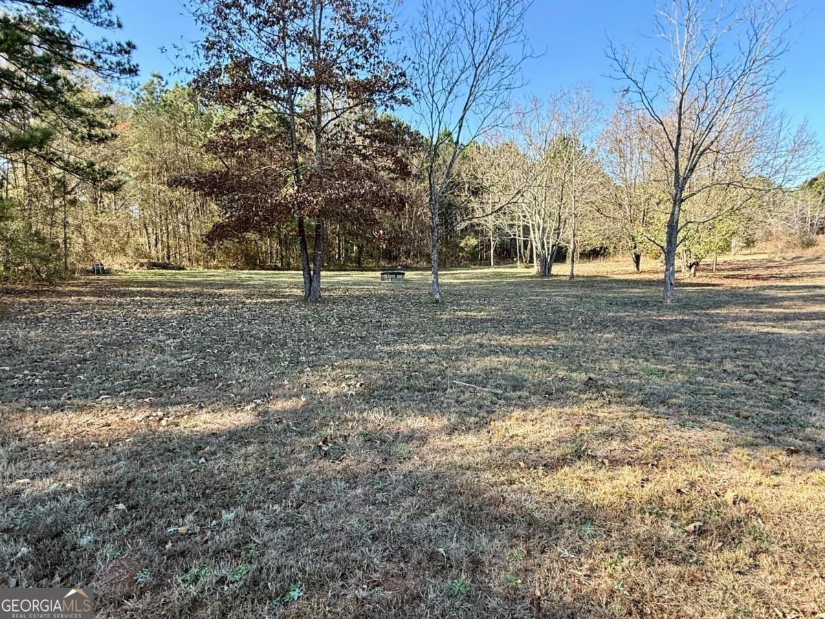 124 Greenhaven Drive Luthersville - 38