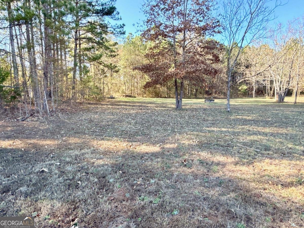 124 Greenhaven Drive Luthersville - 39