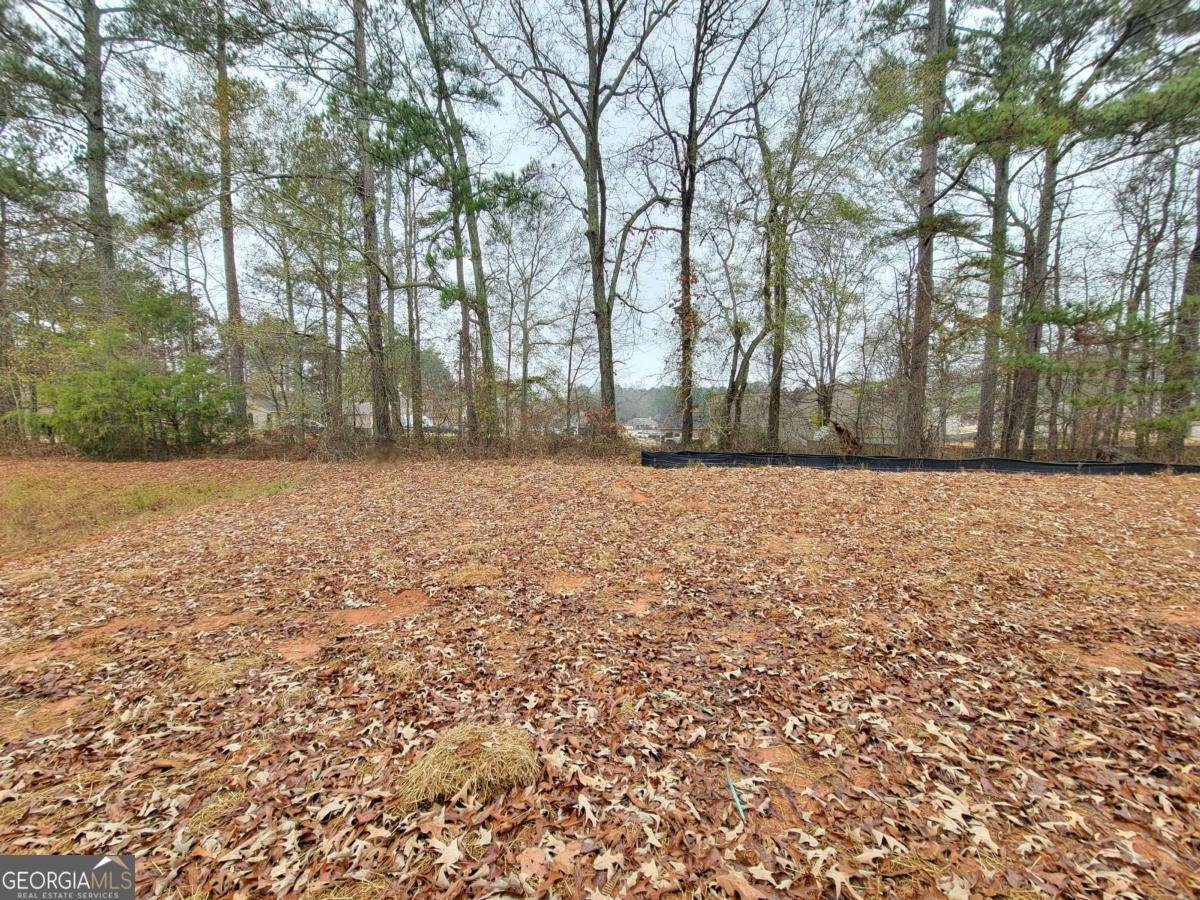 64 Silverleaf Trail Bethlehem - 13